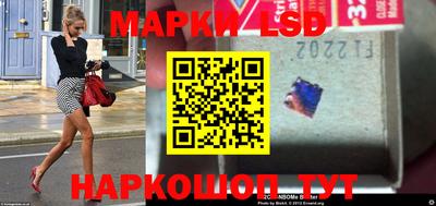 стаф Кузнецк