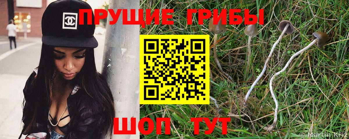 Псилоцибиновые грибы ЛСД  Псилоцибиновые грибы Cubensis  Вход с VPN  Полысаево 